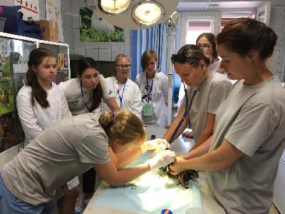 ����� � ������ ������������ ����� ������������!