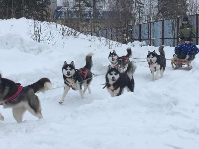 ������� �� ����� ������ ��������!