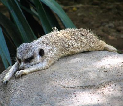 ������ ����! ��������� �������� ��� ����������� � ���� ������� � ������ ������������. 