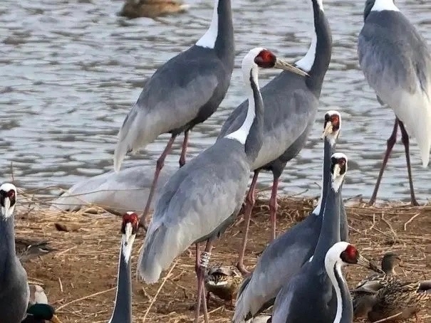 ������� � ��������, ����� ������� �������!