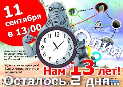 ���� �������� �������� ��������. ZOO�����🐾  �� ���������� �������� ����������� ����������� ����, �� �� ������!