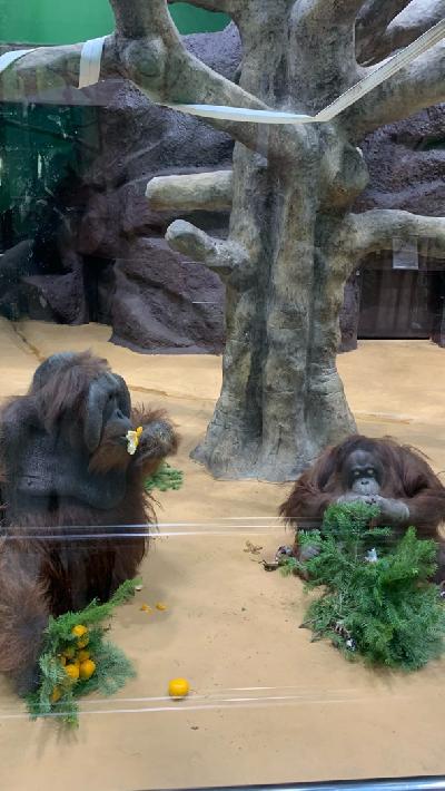 ��������� ������ ���� � "������ �������"