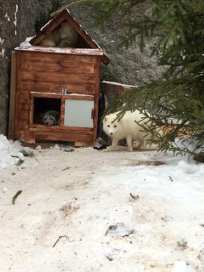 �������������� �����