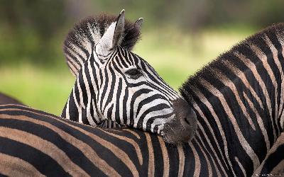 31 ������ � ������������� ���� �����