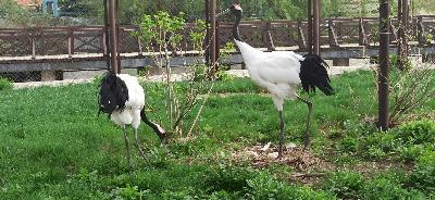 ���� �������� � �������� �������� �������� �������� ����������� � ���������� ����������🌍