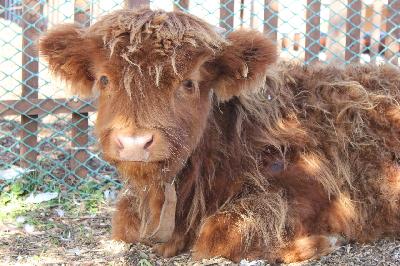 � ���� ����������� ���� ��, ��������� ��������, ������ ����� �� ���� ������ ������ � ���������� ���� � ����� 2021 �����!🎄