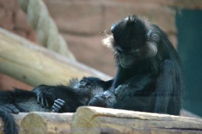 ������ ����! �� ���������� ������������ � ���, ��� ���� � ����������� ��������