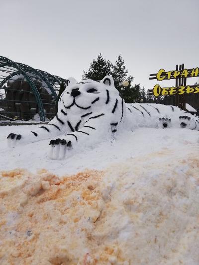 ��������� �������� �������� �����������!