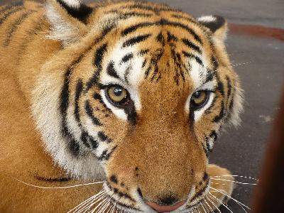 5 ���������� ������ � ������� ������������ ����!