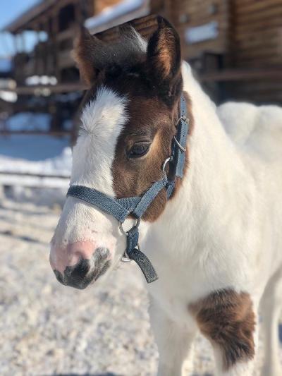 ����� ���������� ������� �������� �������� �������-�� ������� ���!🌷