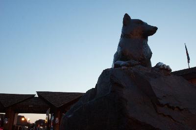 ���� � ��������