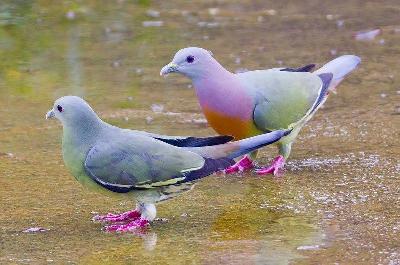 ������ � ����� � ���������� � ������������ ������� 