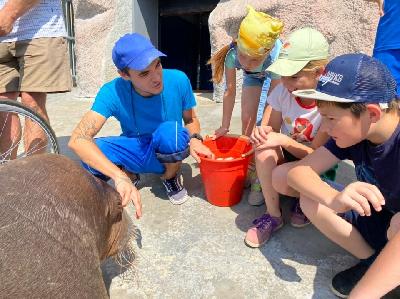 � 2021 ���� �������� ������� ���� ��������� ������������ ������� ��������� ������� ������� � ������������������ ����� ������ ���� ����.