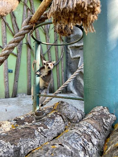 ������ � ���������� ��������, �� ������ ���� ������� �������� ��������� ������! 