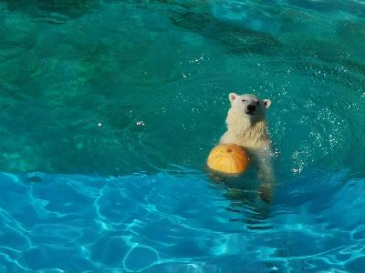 ����� ��������� �����!