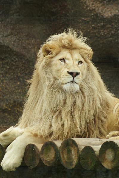 ��������� ���� �����