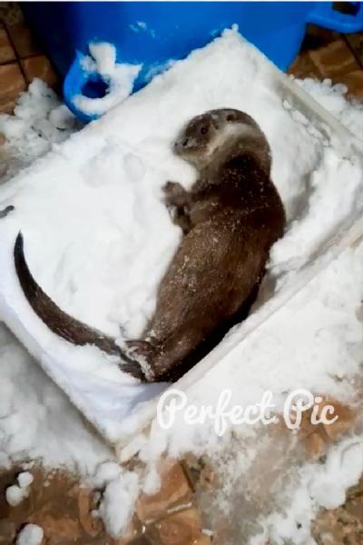 �������� �������� �������� ����������! � ��� �� ������������� �������� � �������� ����?