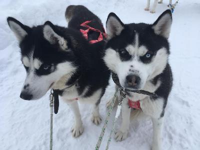 � ��� ���� ����������� �������������� �� ���� ������������ ���� �������� �������, �������� ����� ������ � ����� ����������!