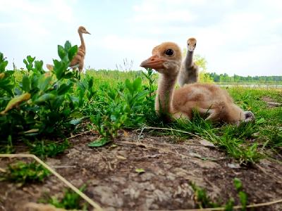 � ���� ��� �� ���� �����������..