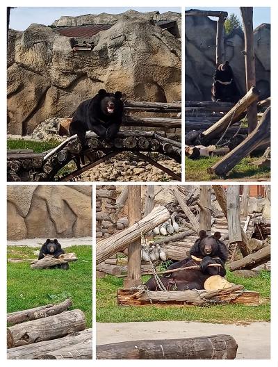 ����� ������� ������� ����������� �������� ��� � ���� ����������� ����� �������� � ���� ��������!