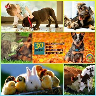 ��������� ���� �������� �������� 