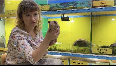 ���������� ���������� � ������ ���������� ����������� �������� ��������!