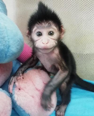 ��� �� ���� �� ��������, ���� �� ��������!