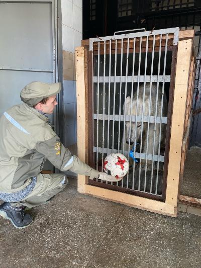 ������� ����� �� ������� ��������������!